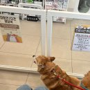 허그미동물병원 이미지