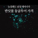 반딧불마을 | 뉴질랜드 테아나우 반딧불 동굴투어 가격 예약방법 최저가 글로우웜 후기