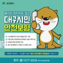묻지도 따지지도 않고 보장해주는 대구시민안전보험! 더 커진 혜택 확인하세요! 이미지