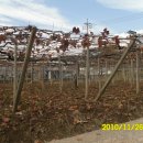 시현농장 이미지