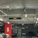 D00419 | [김포 드레스대여 셀프스튜디오] '화가의화원' 공주 컨셉 인물스냅 촬영