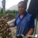 육단 1리 이미지