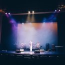 더미스티(The misty)