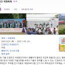 국화 | 지금이 베스트! 실시간 인천 드림파크 국화축제 생생후기