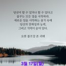 3월 17일(월)아침을 여는 건강한 에코힐링(글 전체보기는 글주소 클릭!) 이미지