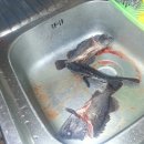 시월포차 이미지