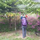 광덕1로2 이미지