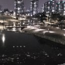 바람꽃공원 이미지