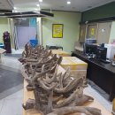 경희일생한의원 이미지