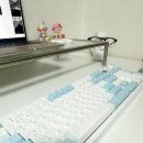 펑션베이(주) | [내돈내산 리뷰] 다얼유 A104PRO FLEX 유무선 기계식 키보드 스노우 축 리뷰