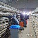 서해안농장 이미지