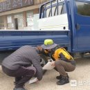 강화자동차 이미지