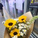 고창제일가정의학과의원 | 대전 제이엠 가정의학과 마운자로 다이어트 부작용 후기 솔직 경험 정리
