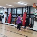 일도복싱 이미지