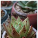 블루핑거(주) 이미지