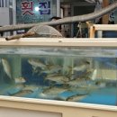 월봉시장 이미지