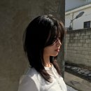에이피(A.P)