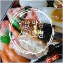 영광 스시호정, 내돈내산 오늘의초밥 후토마키 가성비넘치는 동네초밥맛집