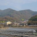 삼화보건진료소 Daum카페