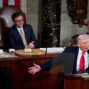 pet 10라 3194 이미지