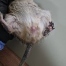 해구농장 이미지