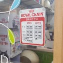 가양쿨펫동물병원 이미지