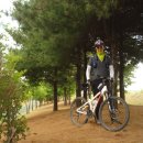 동네한바퀴 이미지