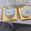 반려동물 케이크만들기 이미지