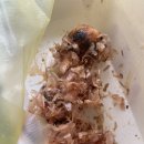 타코야미 하우스 이미지