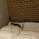 수이호스텔 이미지