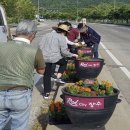 계남면사무소 이미지