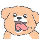 이로운덴탈 이미지