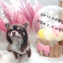 발밤네일