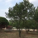 백송농장 이미지