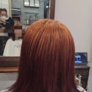 김찬 헤어