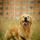 가온 동물병원 이미지