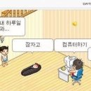 카페코지룸 네이버블로그