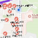 가까운대학 약국 이미지