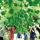 농업회사법인(주)농가사랑 이미지