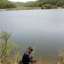 새물낚시터 이미지