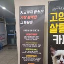 대영휘트니스 | 양산운동 그룹pt 내돈내산 스타라이트 레즈밀 운동센터 후기