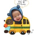 플라워 솜사탕