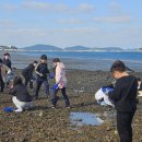 명천초등학교 이미지