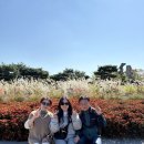 엘레나 광주본점 | 10월 마지막주 일상 [어린이집상담, 유안♡지안, 함평국화축제, 가족사진(워너비스튜디오), 필라테스...