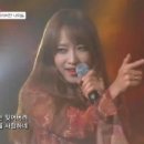 아라비안나이트 헤럴드경제