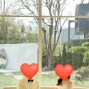 섬스튜디오 후기9-통 창 소파