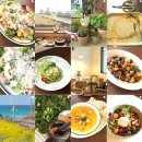 진실이네식당 | 제주 애월 맛집 악어식당 제철 식자재로 채운 맛있는 브런치 후기