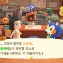 너굴상점 이미지