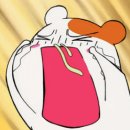 한솔외과의원 이미지