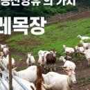 이레목장 이미지